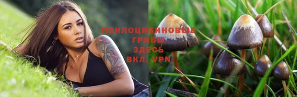 гашик Аркадак