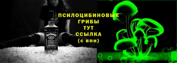 стафф Арсеньев