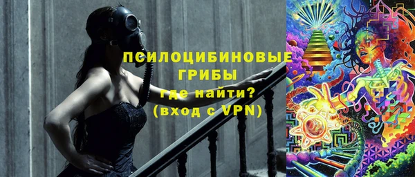 стафф Арсеньев