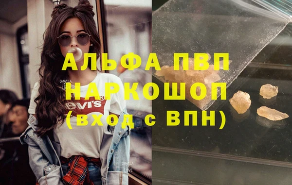 стафф Арсеньев