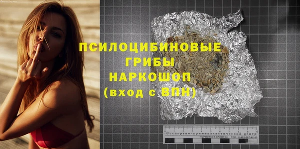 гашик Аркадак