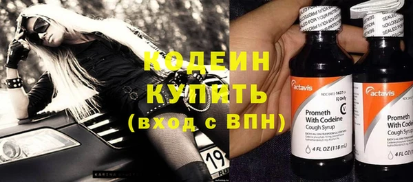 гашик Аркадак