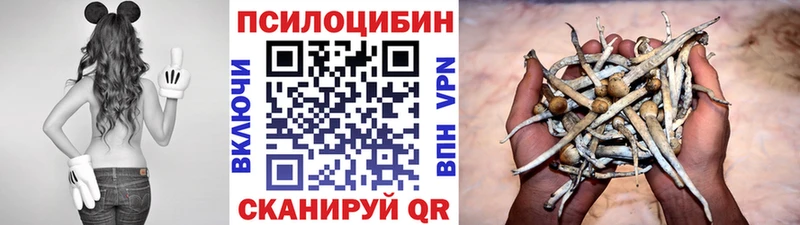 mega онион  Фокино  Псилоцибиновые грибы мицелий 